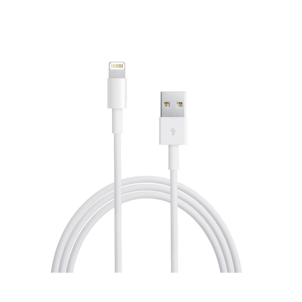 Câble Apple Lightning vers USB 2m