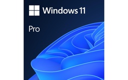 Microsoft Windows 11 Pro ESD, 64 bits