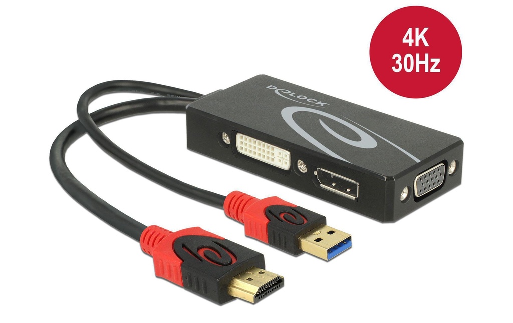 Delock Adaptateur 4K, 30HZ HDMI/USB 2.0 - DVI-D/VGA/DisplayPort