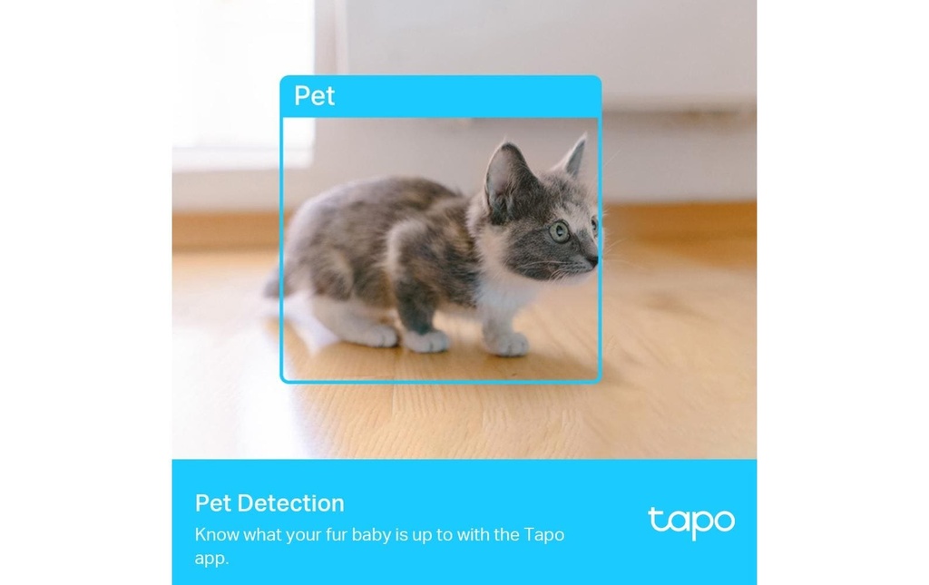 TP-Link Caméra réseau Tapo C225