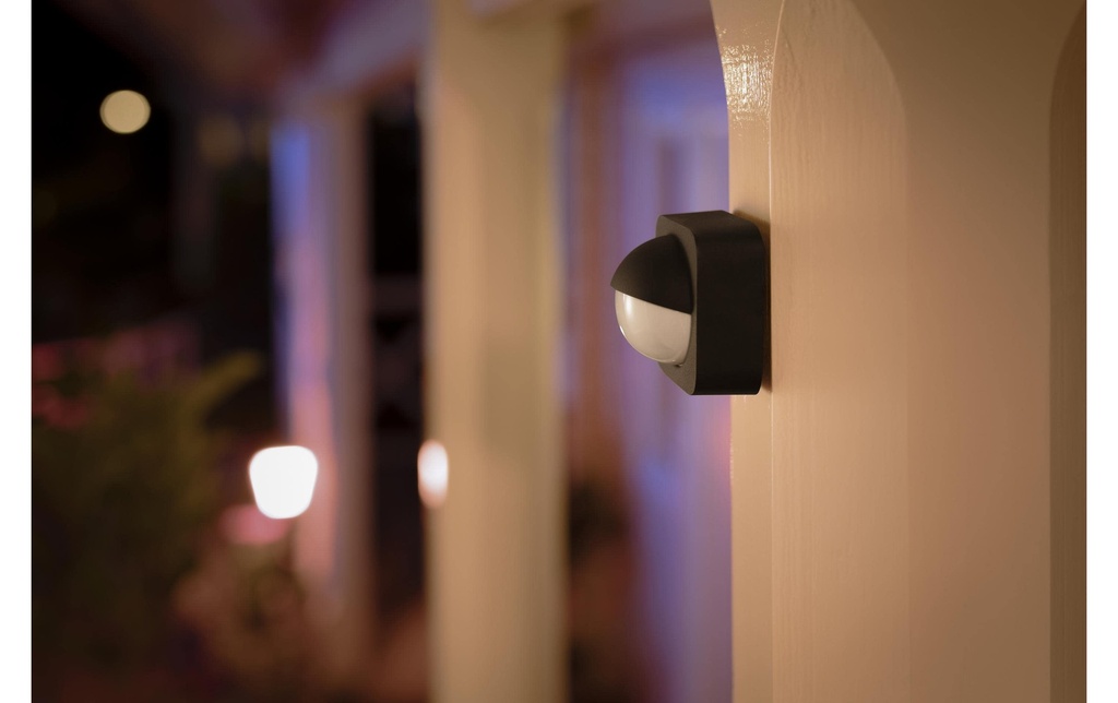 Philips Hue Accessoire Outdoor Sensor, Noir