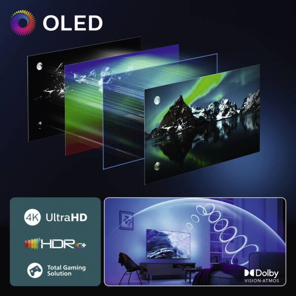 TV Philips Performance 48OLED810/12