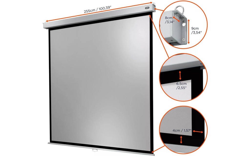 Celexon Écran mural enroulable Professional Plus 240x240 cm 1:1