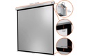 Celexon Écran mural enroulable Professional Plus 240x240 cm 1:1