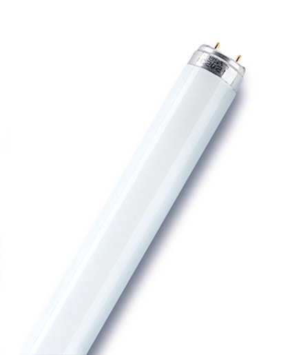 Osram tube fluo.L 36W 840 cool white