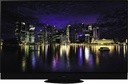 TV Panasonic Premium TX-55MZC2004