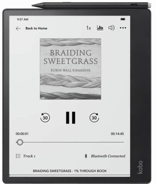 Kobo Lecteur Ebook Kobo Elipsa 2E Bundle (e-reader + stylus) noir